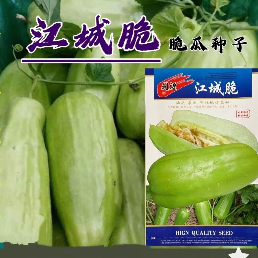 白月光菜瓜种子中熟脆香甜江城脆甜瓜羊角脆水果蔬菜种子