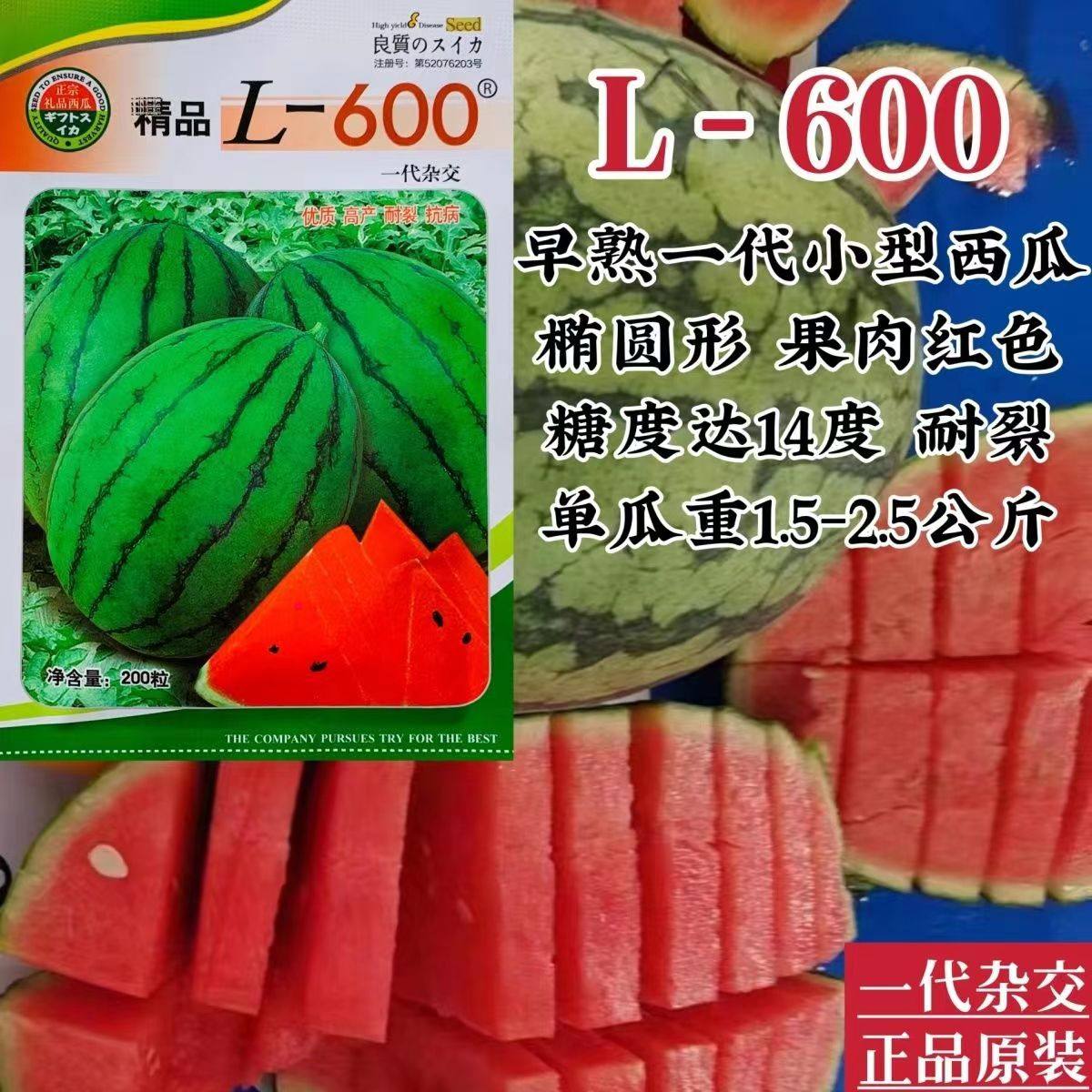 L600西瓜种子正品原装一代杂交小型西瓜种籽礼品西瓜种子特甜耐裂