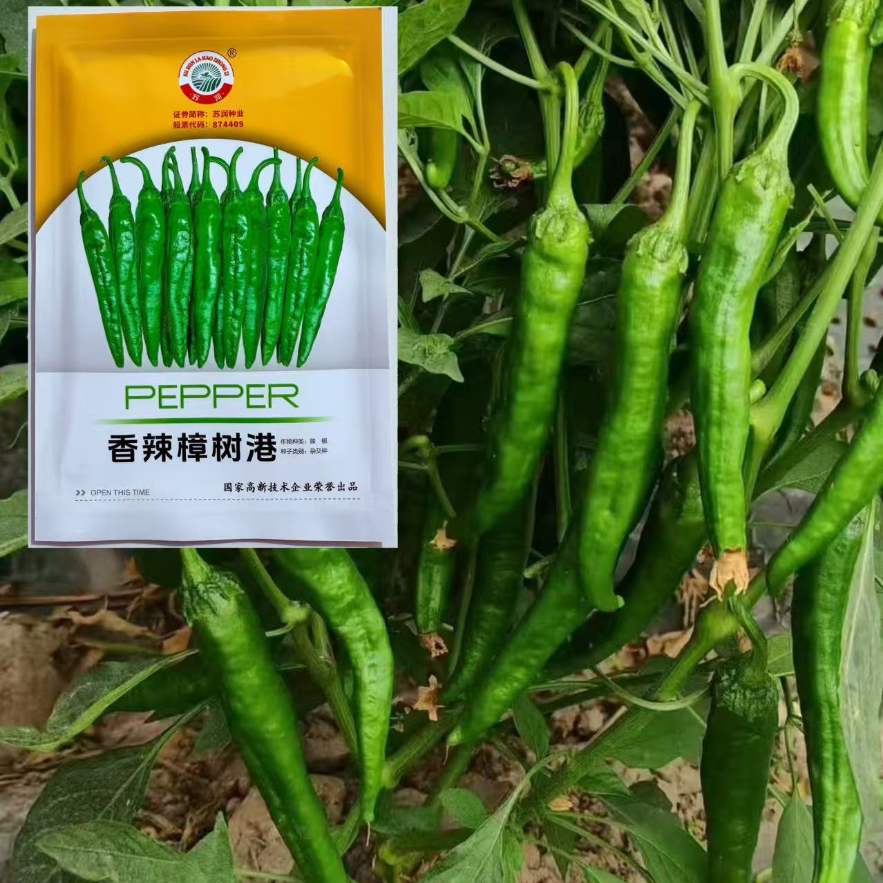 香辣樟树港椒种子杂交早熟耐低温羊角型辣椒种籽春秋季播