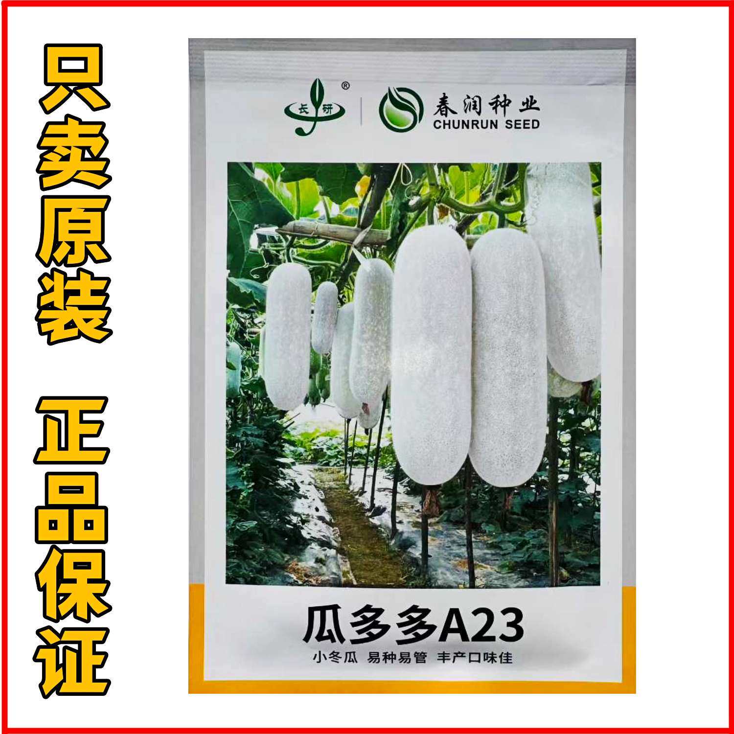 瓜多多A23小冬瓜种子早熟白皮白肉小冬瓜种籽耐热耐寒春秋播