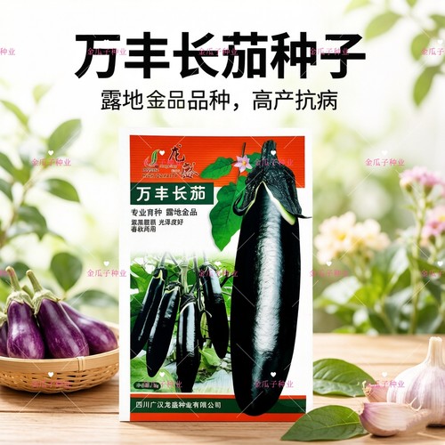 龙盛万丰长茄种子中熟果皮紫黑色长棒型光泽度好肉质细嫩春秋播种