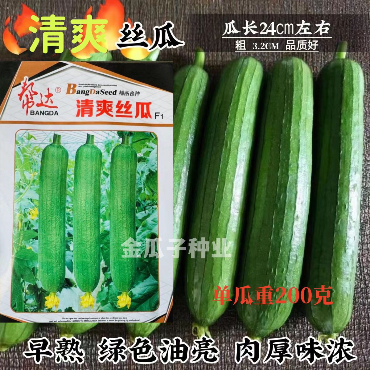 清爽丝瓜种子油绿皮短棒丝瓜种子早熟清香丝瓜种子爬藤短丝瓜种子