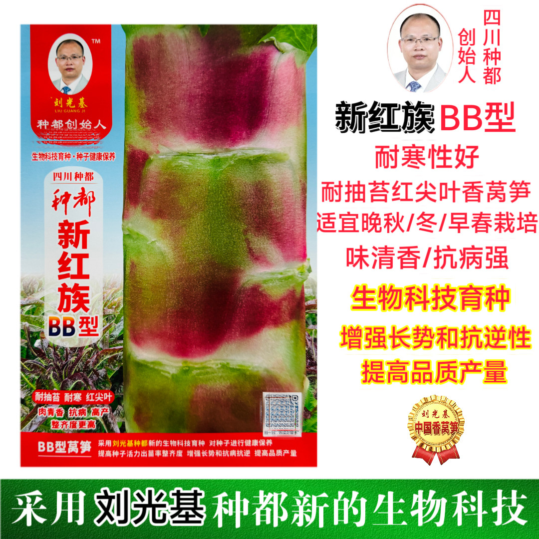 四川种都新红族BB型红莴笋种子红皮青肉耐抽苔耐寒红尖叶高产春秋