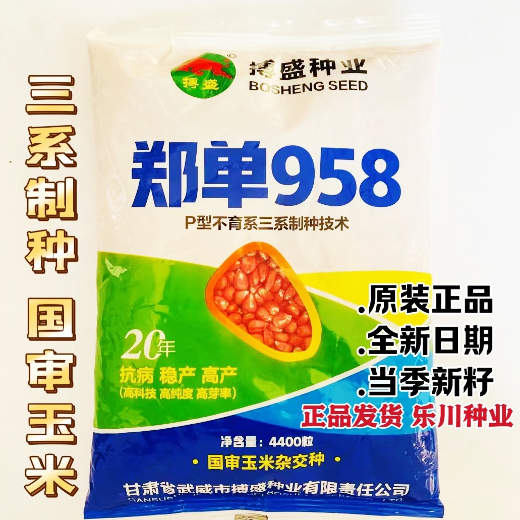 德农郑单958超高产杂交玉米种子大田饲料包谷良玉99玉米种孑大全