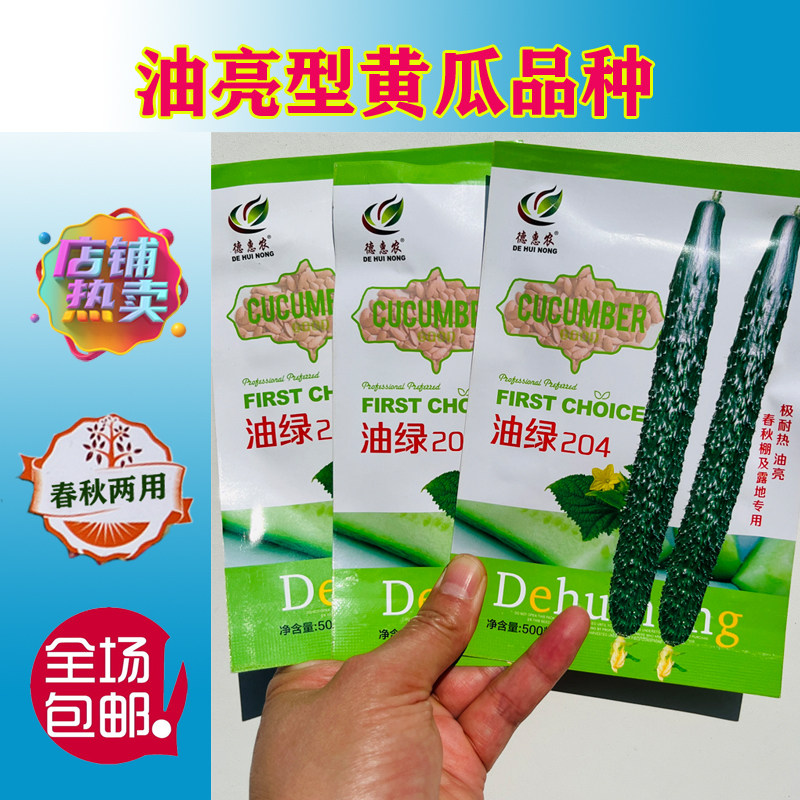 油绿204黄瓜种子油亮短把露地黄瓜种籽耐热青肉密刺夏季蔬菜种孑