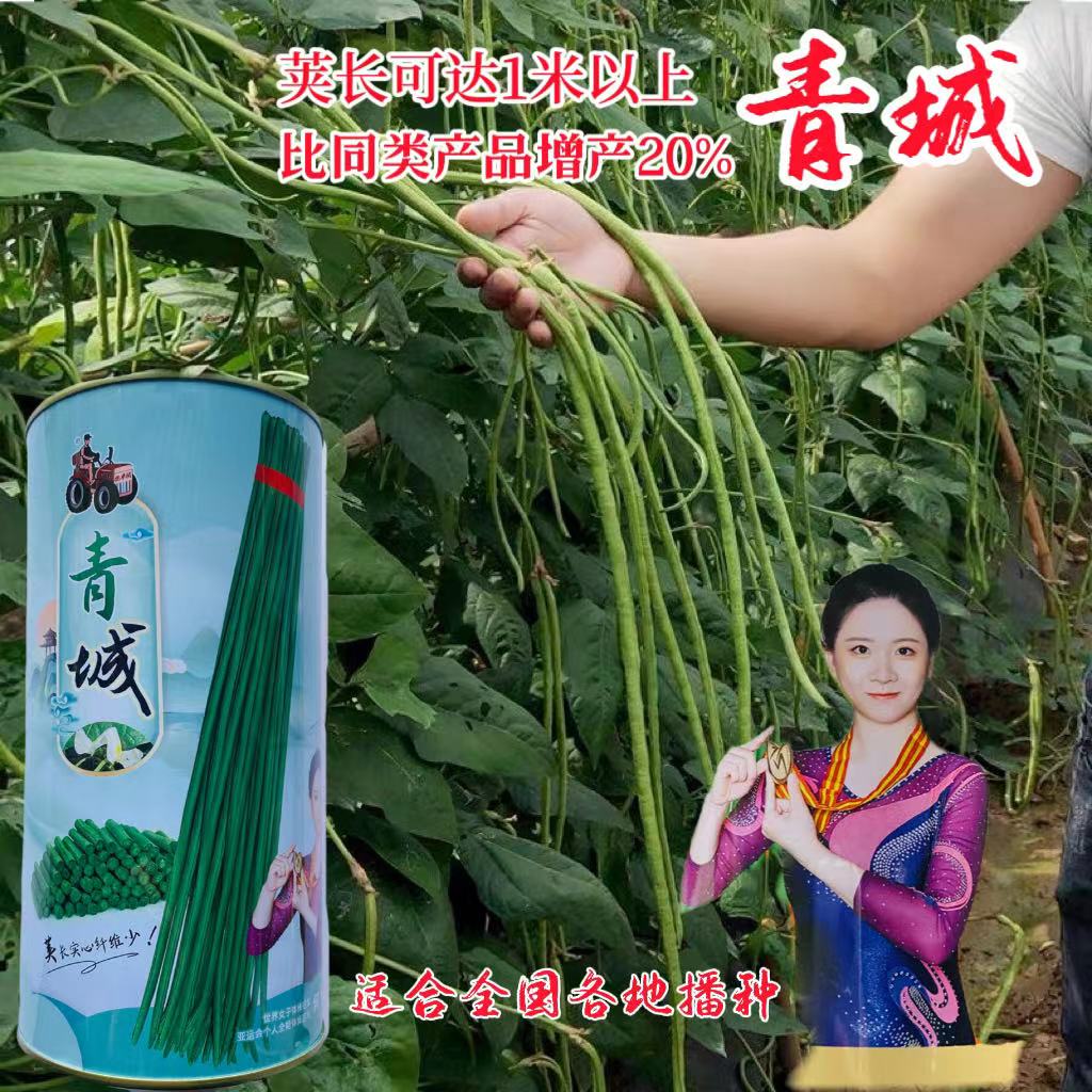 冀豇山青城豇豆翠绿长荚耐热肉厚