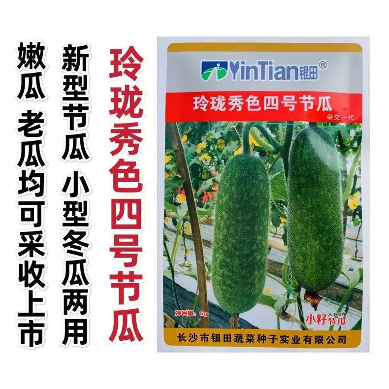 玲珑秀色四号节瓜种子小籽节瓜小冬瓜种籽农家春夏秋蔬菜种子菜园