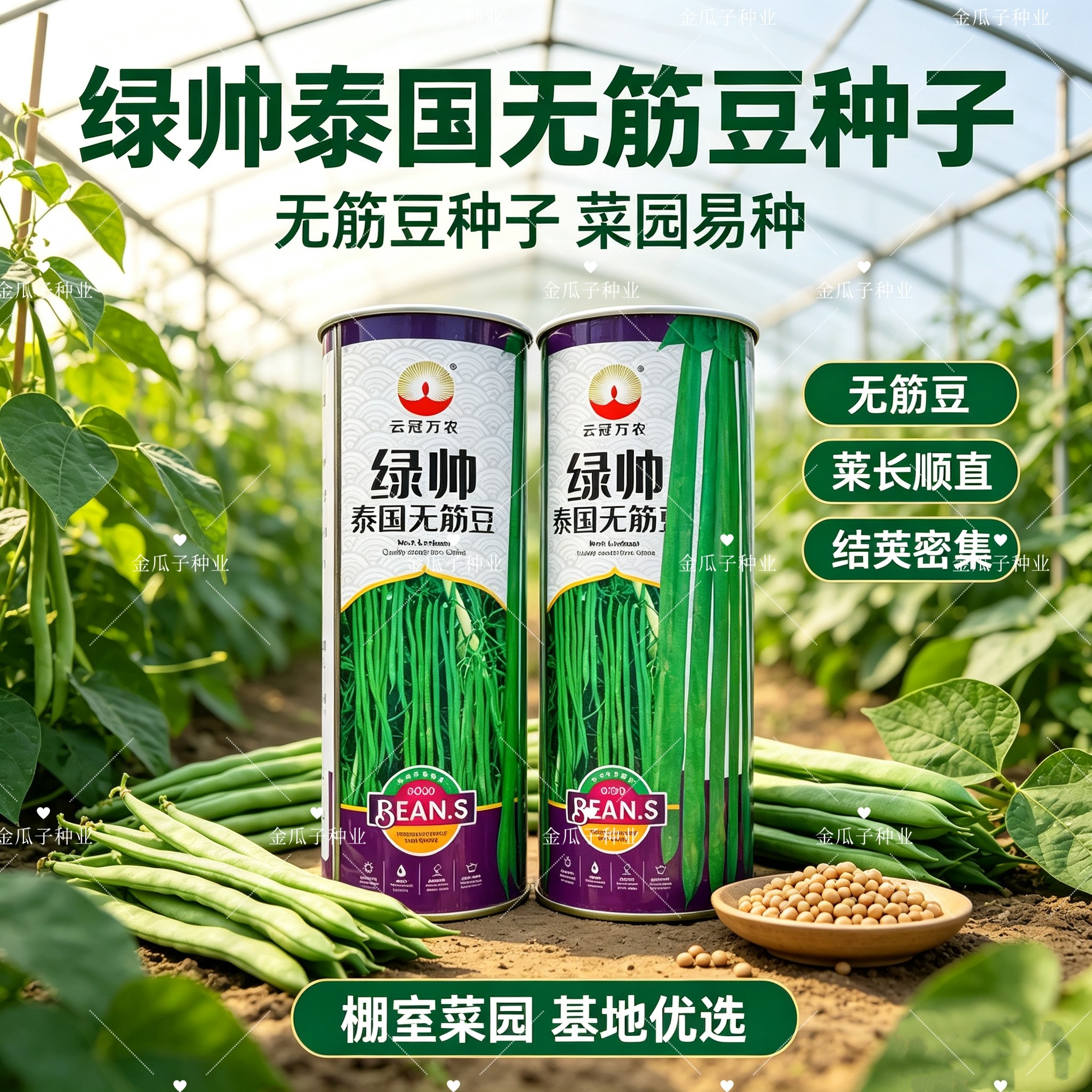 绿帅泰国无筋豆种子中早熟蔓生嫩绿荚肉质厚耐老化抗病强春秋播