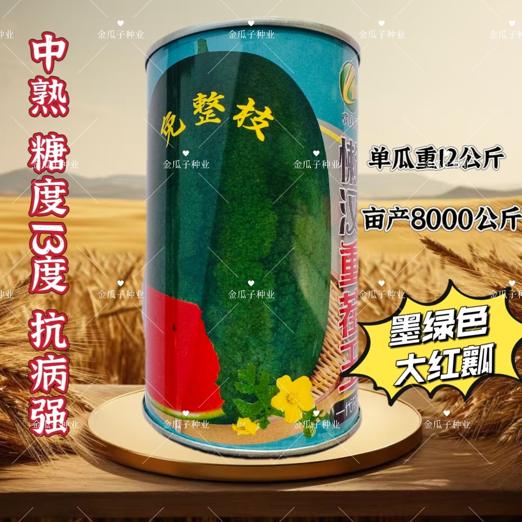 懒汉西瓜种子高抗重茬王西瓜种子抗病超甜中熟椭圆大红瓤西瓜种籽