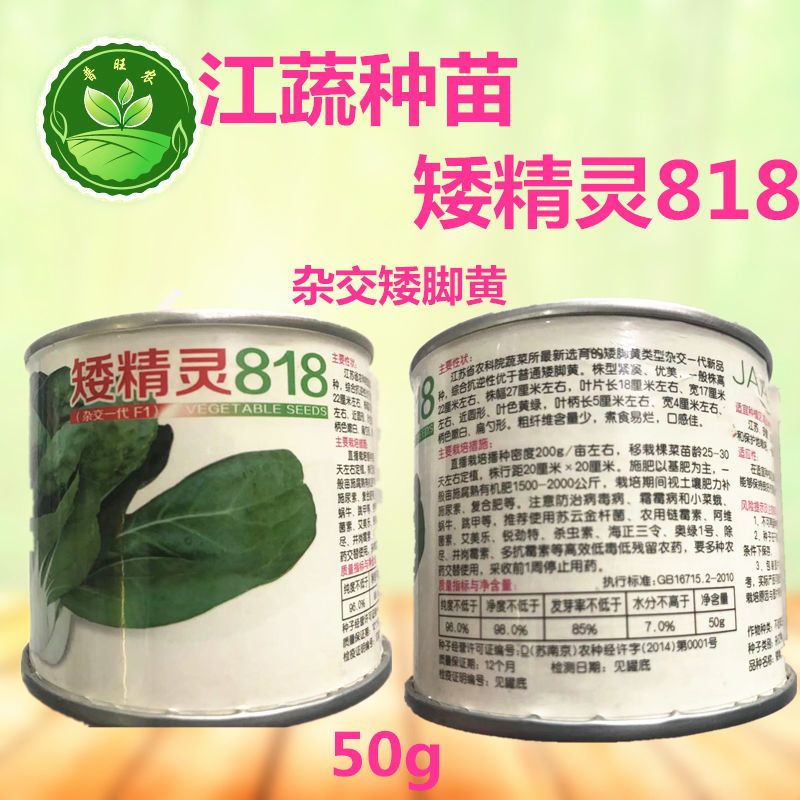 矮精灵818矮脚黄菜种籽高产耐热耐湿南京兔子腿白梗矮颗小白菜种