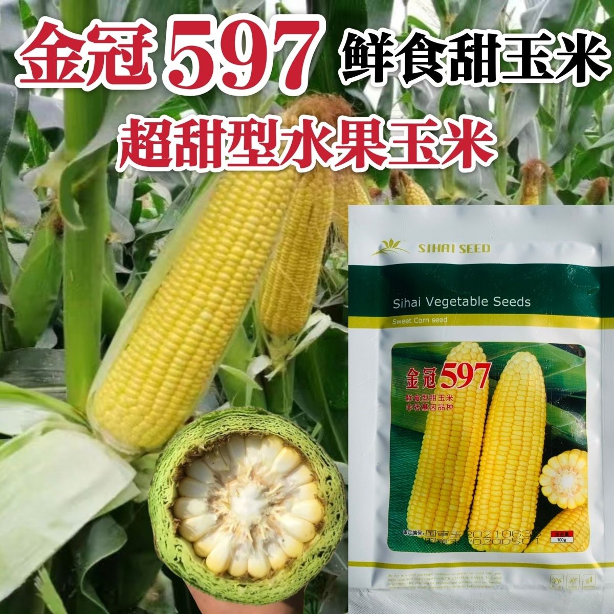 金冠597水果玉米种子超甜水果玉米种子鲜食大棒金黄色甜玉米种籽