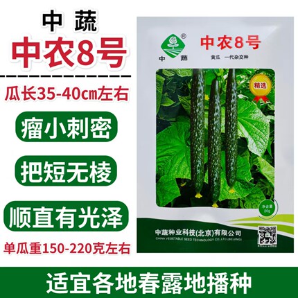 中农8号黄瓜种子杂交抗病高产耐热耐寒春秋播种黄瓜种籽蔬菜种子