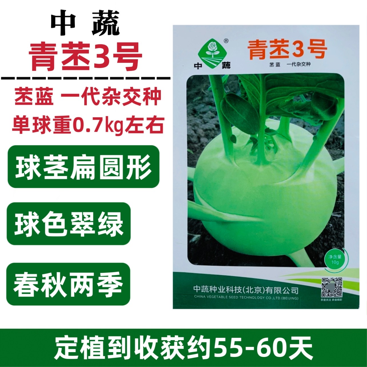 青苤3号苤蓝种子扁圆形春秋水果苤蓝种子农科院青苤兰种籽