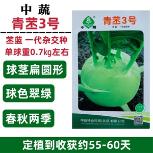 青苤3号苤蓝种子扁圆形春秋水果苤蓝种子农科院青苤兰种籽