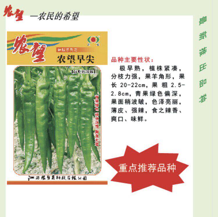 农望早尖辣椒种子早熟羊角形辣椒种籽皮薄味辣基地专用良种1000粒