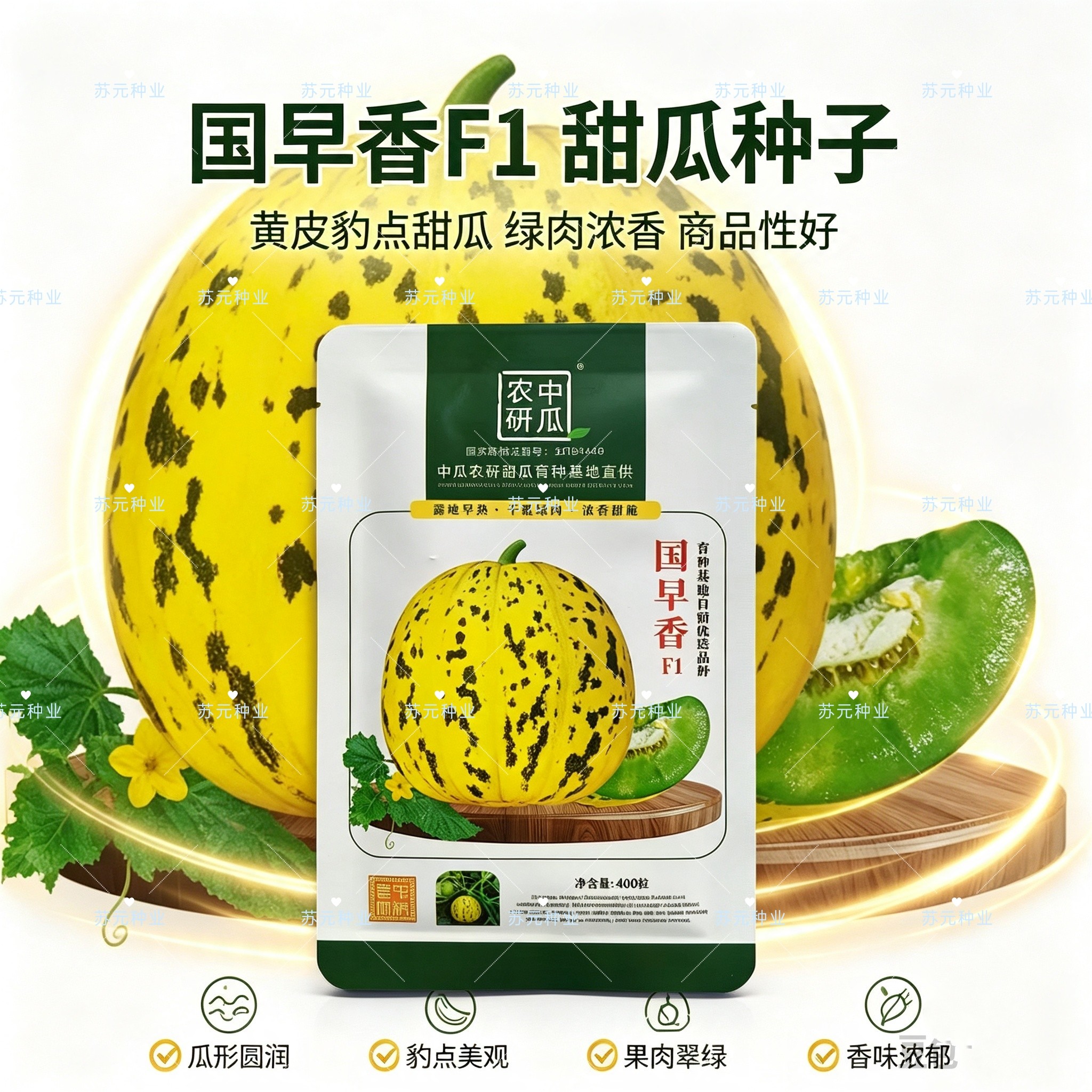 国早香甜瓜种子早熟花皮绿肉香瓜种籽香甜酥脆高糖大田基地种植籽