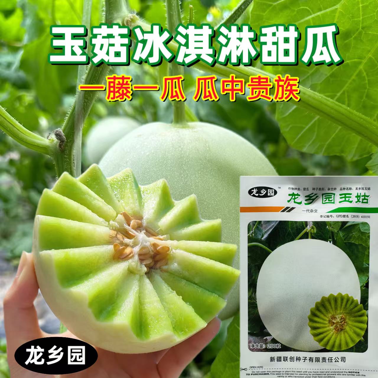 龙乡园玉菇甜瓜种子白皮绿肉高糖肉厚腔小耐裂耐运输大田基地种籽