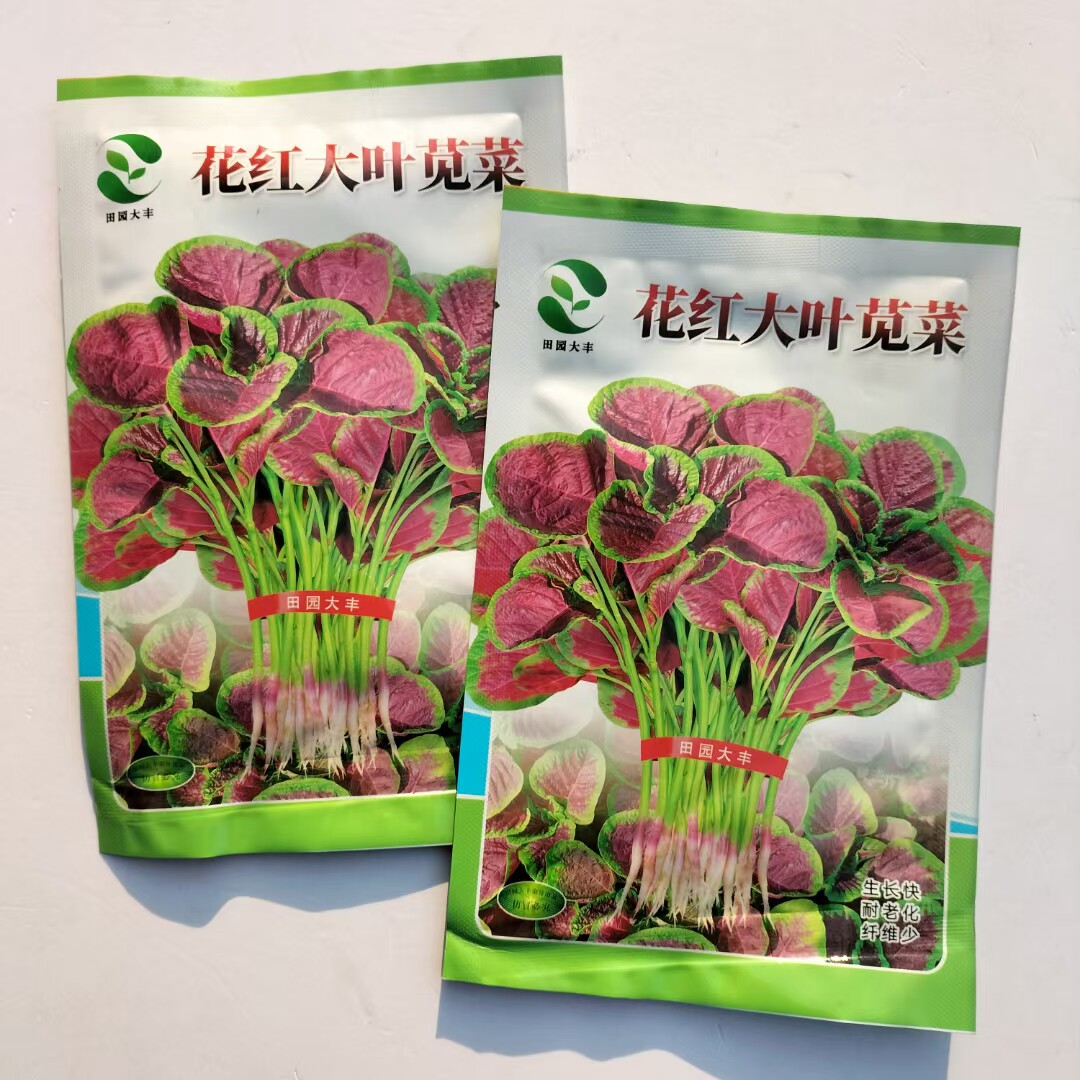 绿亨田园红大叶苋菜种子白梗分枝少耐热耐旱汉菜花红苋菜种籽图片