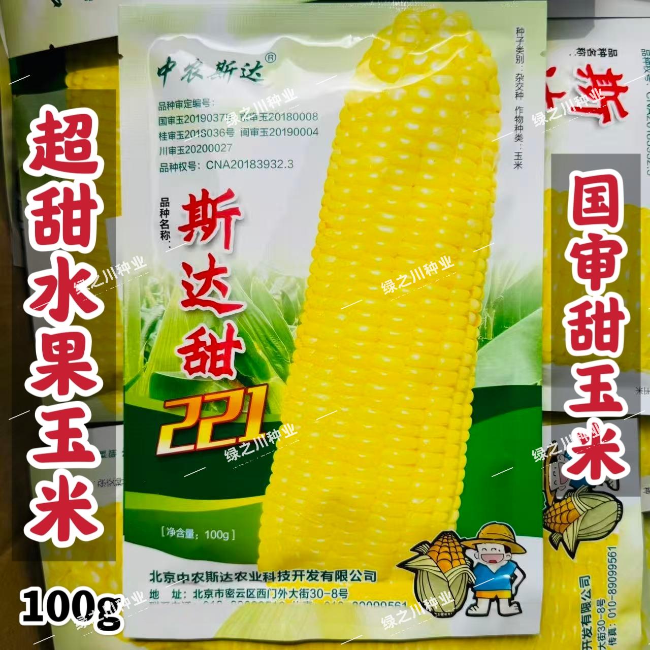 斯达甜221水果玉米种子超甜玉米种皮薄黄色鲜食玉米种子非转基因