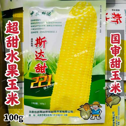 斯达甜221水果玉米种子超甜玉米种皮薄黄色鲜食玉米种子非转基因