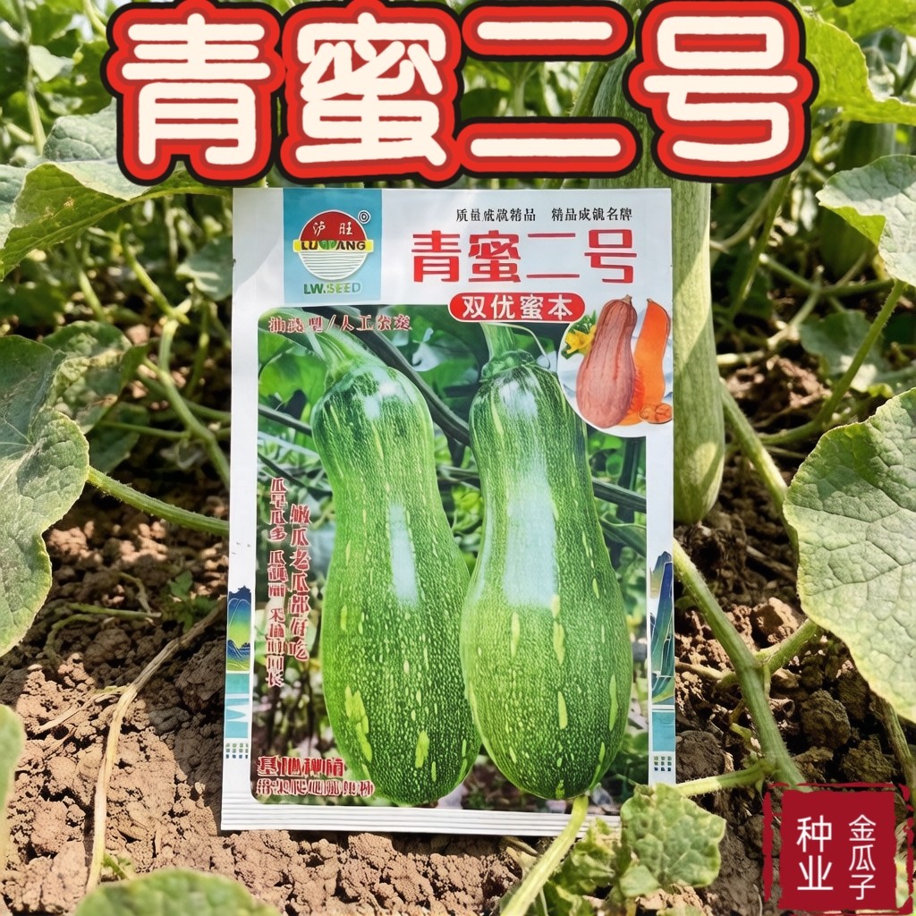青蜜二号双优蜜本南瓜种子口感好青老瓜两用高产抗病花斑油亮春播
