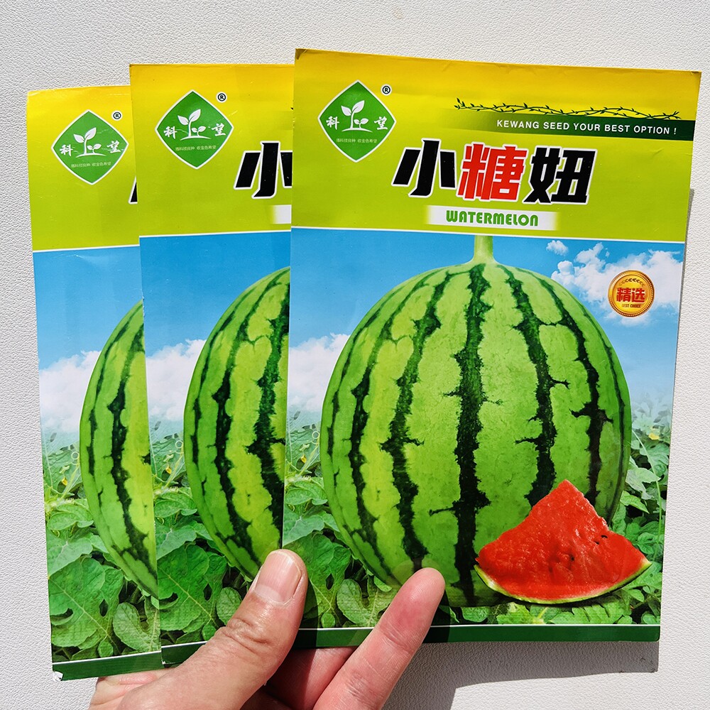 小糖妞西瓜种子早熟礼品小西瓜种籽大红瓤皮薄肉脆春秋播西瓜种孑