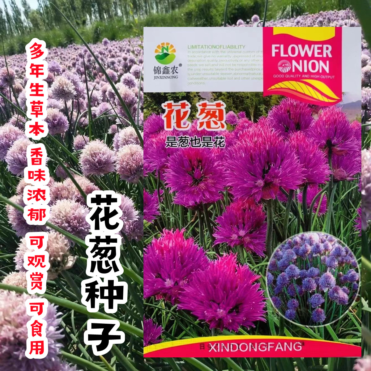 花葱种子多年生草本花卉种子绿植盆栽庭院绿化花草种子花叶皆可食