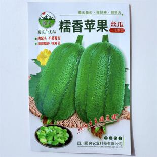 糯香苹果丝瓜种子杂交一代肉丝瓜种子清甜糯香丝瓜种籽蔬菜籽
