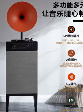 高档轻奢复古创意现代时尚客厅会所样板房专业黑胶唱片音响装饰品