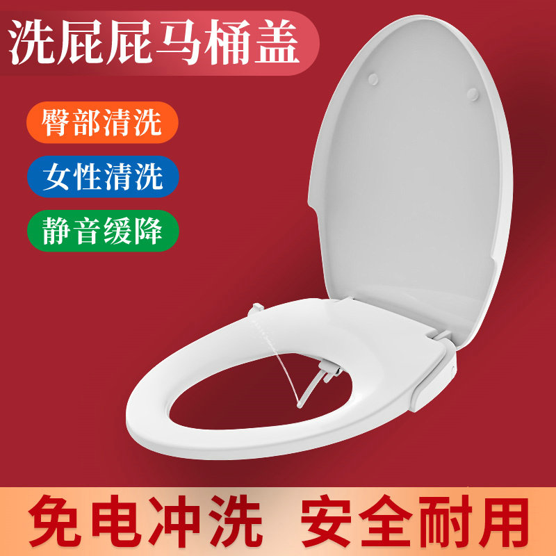 智能马桶盖家用通用冲洗器洁身器