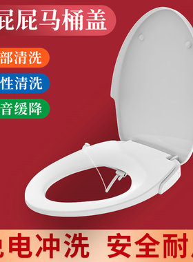 智能马桶盖家用通用冲洗器洁身器