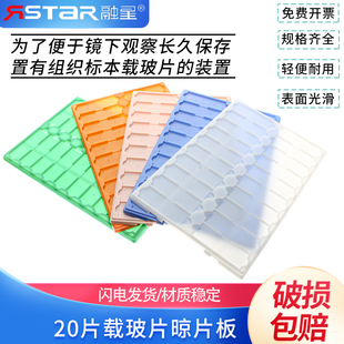 20片载玻片晾片板 存放板 操作板