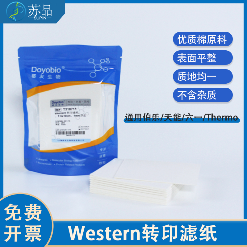 国产伯乐WB转印滤纸 转膜湿转滤纸 适用伯乐/天能/六一Thermo转印
