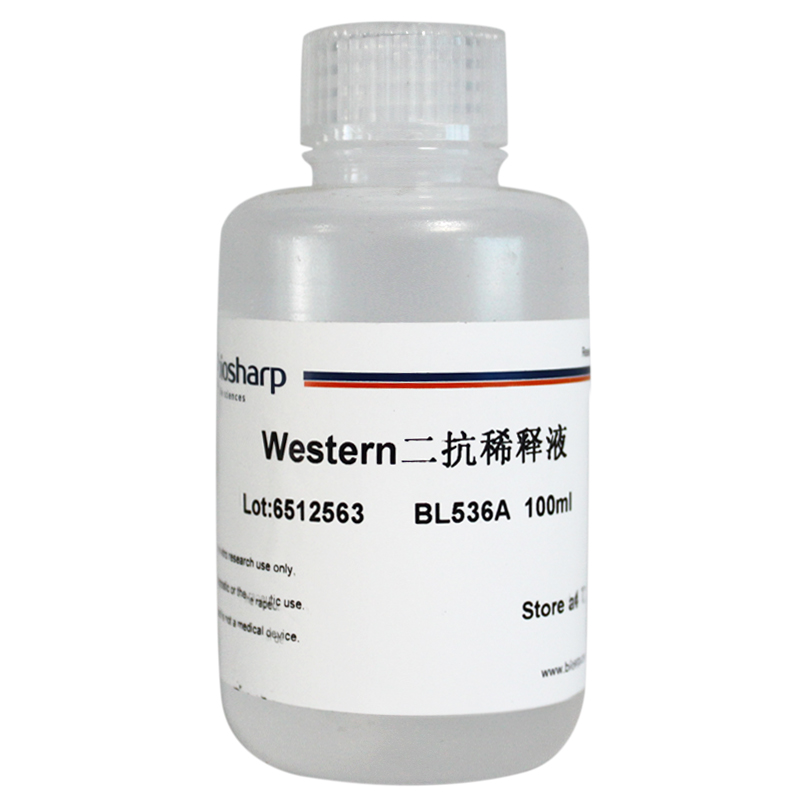 Biosharp BL536A Western 二抗稀释液 100ml 二抗的稀释和配制 办公设备/耗材/相关服务 其它 原图主图