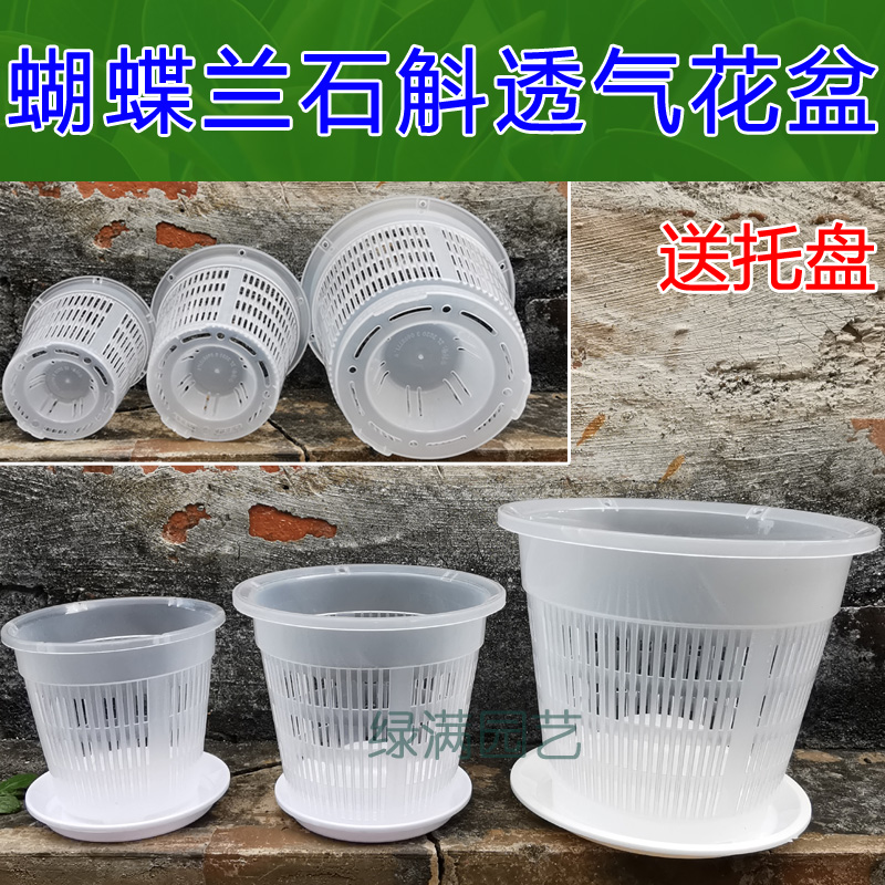 透气塑料镂空杯网定植篮生根盆