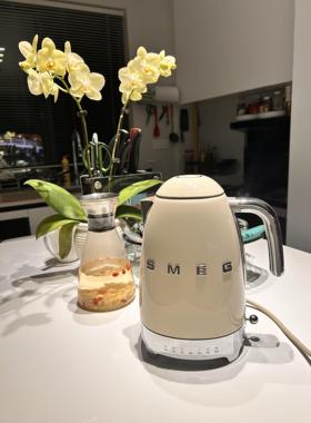 SMEG斯麦格KLF04电热水壶复古家用泡茶保温一体7档温度控温电水壶