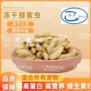 冻干蜂蜜虫葡萄虫玉米虫包邮鸟食蜜袋鼯绣眼仓鼠饲料守宫零食饲料