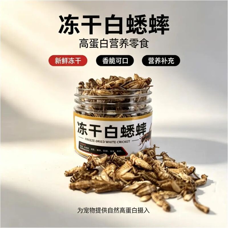 冻干白蟋蟀非活体包邮鸟食蜜袋鼯鼠粮