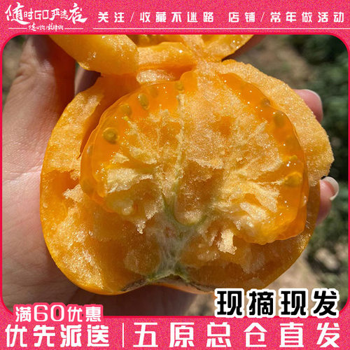 五原县特色柿子皮薄肉厚酸甜可口