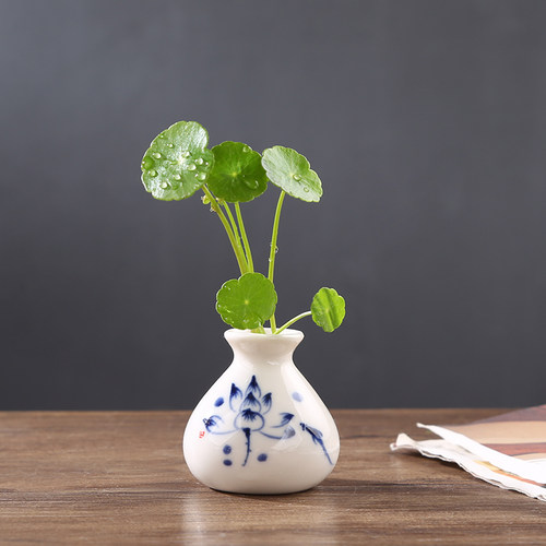 迷你指尖陶瓷小花瓶水培植物插花小花器水养铜钱草袖珍博古架摆件