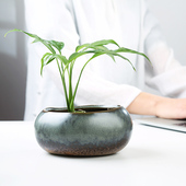 铜钱草专用陶瓷花盆一叶莲碗莲桌面水培植物无孔花器水养家居器皿