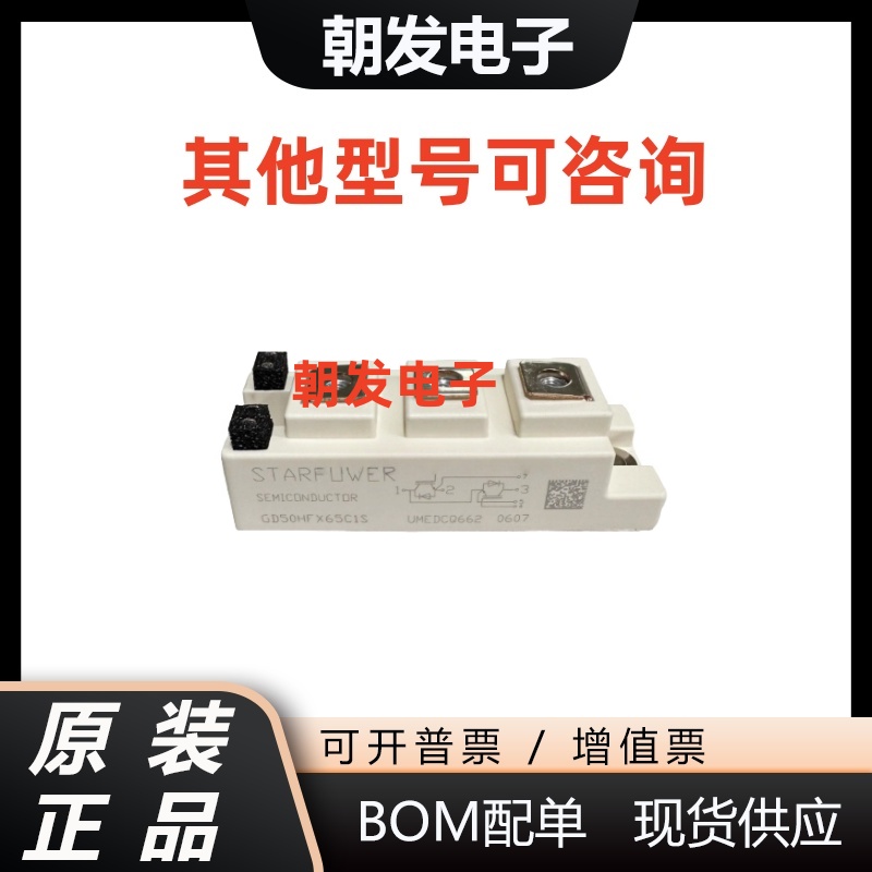 GD100HFX65C1SGD100HFT65C1S