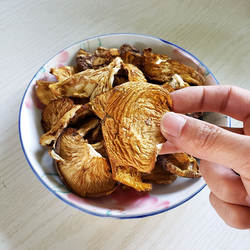 长白山野生元蘑冻蘑天然野生蘑菇香菇东北野生冬蘑干货250g