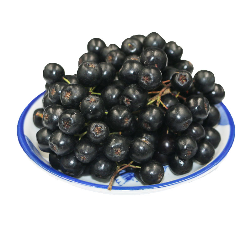 富含花青素野生黑果花秋野樱莓