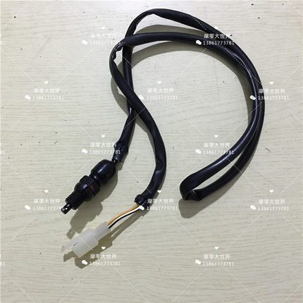 适用海王星QS150T 福星HS125T红金蓝巨星超人脚刹车开关后刹灯开