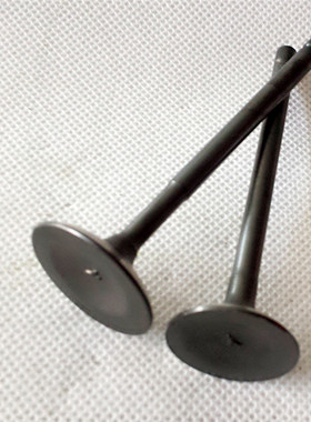 适用摩托车配件水冷cf150t-3大绵羊 大沙CH125摩托车进气门排气门