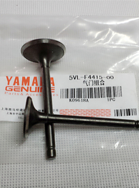 适用摩托车JS125-28/28A/28B/26B/6A/6F/V6/7C骏风/沐风气门组合
