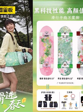 Star星板陆地冲浪板油画系列PU桥弹簧桥滑雪免蹬滑板专业路冲
