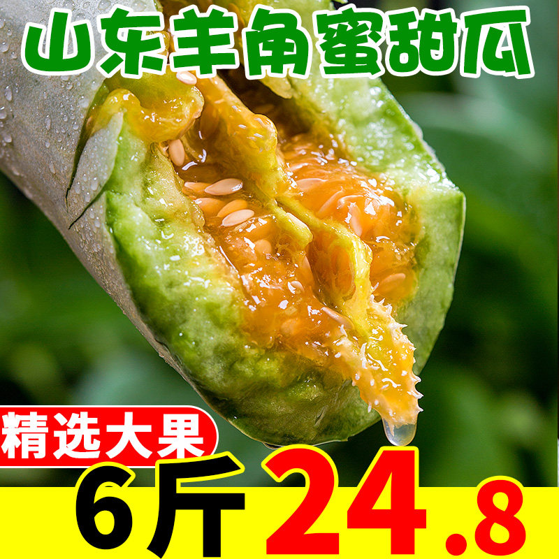 山东羊角蜜甜瓜6斤水果新鲜当季香瓜5应季蜜瓜时令生鲜小脆瓜包邮|msdalam kategori daging perikanan/Buah-buahan segar dan sayur-sayuran/dimasak, buah-buahan segar, lain - dari Buy2taobao.com untuk memberikan perkhidmatan ejen Taobao profesional membeli