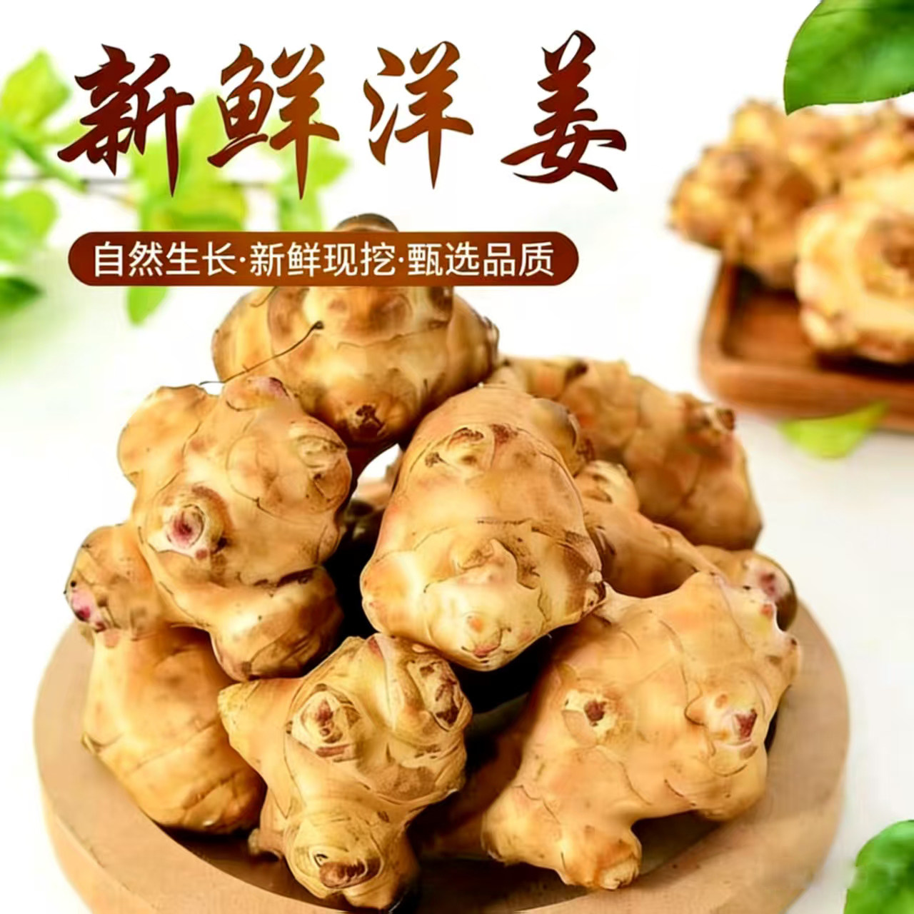 正宗洋姜新鲜现挖的野生姜鬼子姜阳姜泡菜用腌制酱菜咸菜当季现货,水产肉类/新鲜蔬果/熟食,生姜/南姜,淘宝优惠券,粉丝福利购,淘宝优惠卷